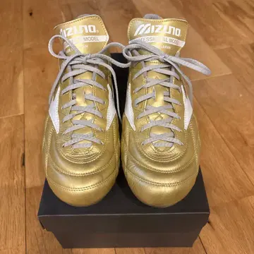 모렐리아 UL 골드