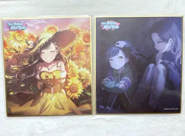 시라이시 안 해바라기 색지 세트