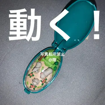 포켓 밤 양