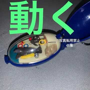 포켓 크리처 물개