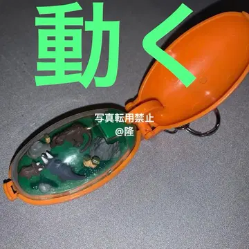 포켓 밤 공룡