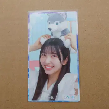 코니시 나나미 히나코레 리얼 카드