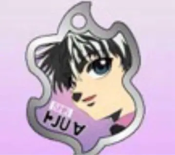 [ 익명 배송 ] HUNTER x HUNTER 비주얼 메탈 키링 키루아