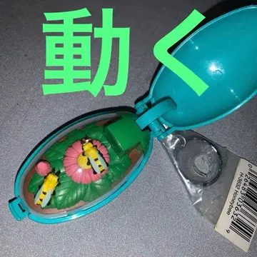 포켓 밤 하치