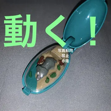포켓 크리처 트리케라톱스