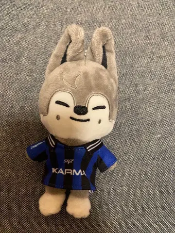 Stray Kids KARMA SKZOOver 울프찬