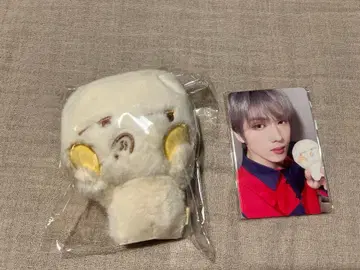 NCT DREAM 지성 봉제 인형