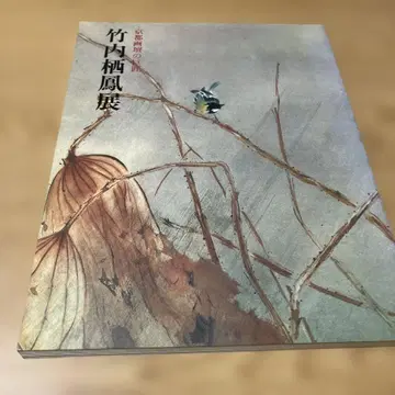 다케우치 세이호전 아트북