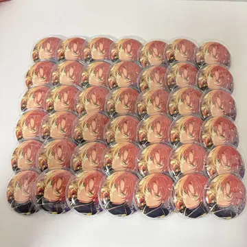 츠키나가 레오 캔 배지 테마 스카우트 49점