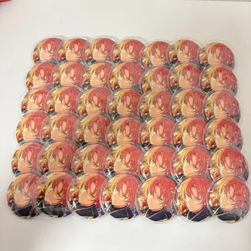 츠키나가 레오 캔 배지 테마 스카우트 49점