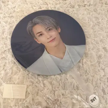 SEVENTEEN 정한 부채