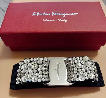Salvatore Ferragamo 크리스탈 헤어 머리핀