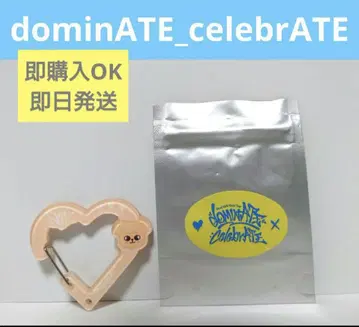 폭시니 아이엔 카라비너 celebrate 팝업 스키즈 종