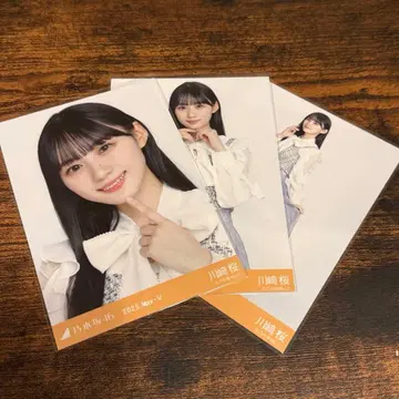 [ 최저가 ] 카와사키 벚꽃 빅 보타이 블라우스 컴프