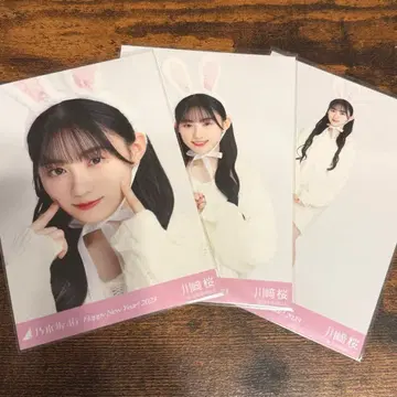 [ 최저가 ] 카와사키 벚꽃 십이지신 토끼 컴프