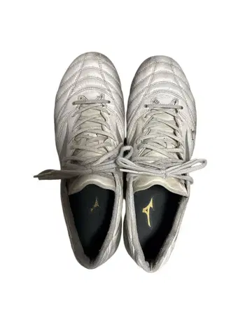 모나르시다 NEO II ELITE