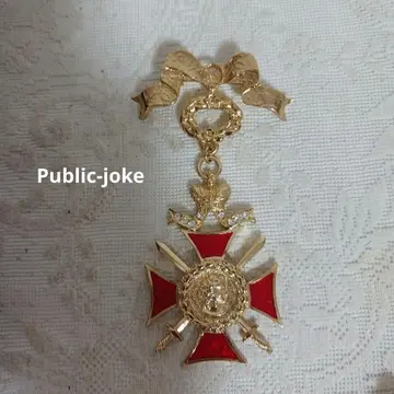 public - joke 브로치