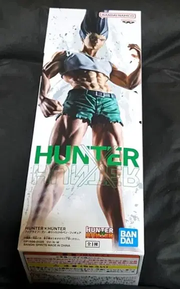 HUNTER x HUNTER 곤