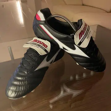 모렐리아 2 Japan