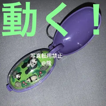 포켓 크리쳐 초레어 팬더 가족