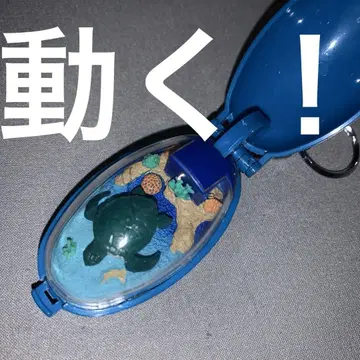포켓 밤 거북이