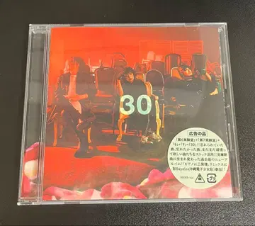 cali gari 30 양심반