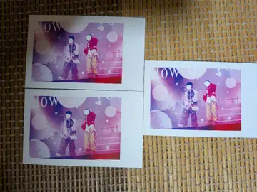 이레이스 리우라 쇼토 페어곡 실사 랜덤 폴라로이드 3장 세트