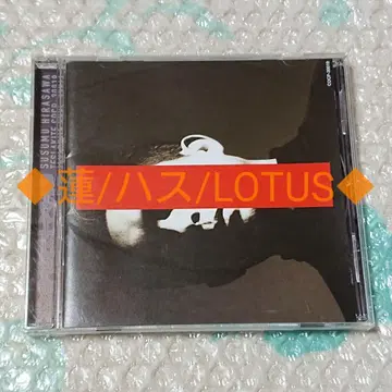 히라사와 스스무/CD/구제의 기법