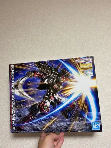 MG 1/100 전국 아스 건담
