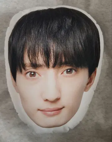 카와시마 노엘 페이스 쿠션