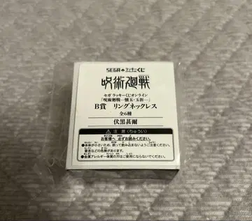 주술회전 세가 럭키 쿠지 B상 후시구로 토우지 반지 목걸이