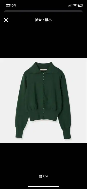 louren front button polo knit