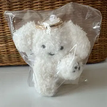 테라오카 나츠미 x 애프터눈 티 콜라보 봉제 인형 참