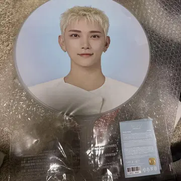 SEVENTEEN 조슈아 부채