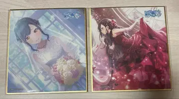 프로세카 시로이시 안 쿄 색지 준브라