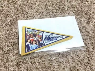 LE SSERAFIM indeed 페넌트 스티커 르세라핌