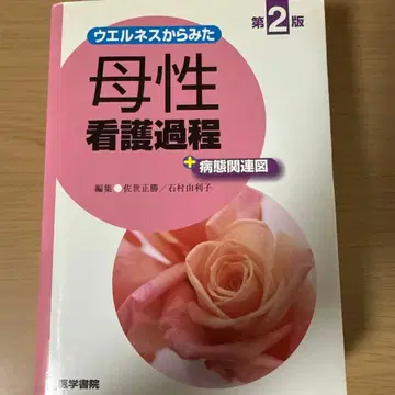웰니스에서 본 모성 간호 과정 + 병태 관련도