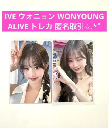 IVE ALIVE 타워 레코드 혜택 럭키 드로우 트레이딩 카드
