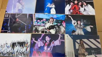 사쿠라자카46 애니라 엽서 모음