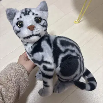 리얼한 고양이 봉제 인형 REAL CAT