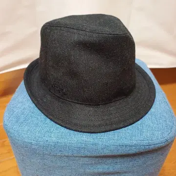 THE NORTH FACE 모자 GORE-TEX