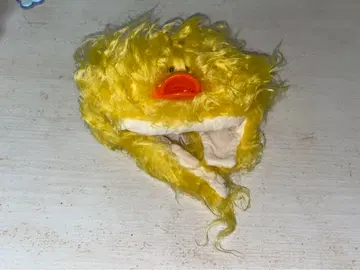 브라이스 병아리 모자