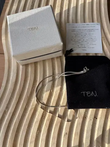 TEN. 실버 925 스네이크 초커