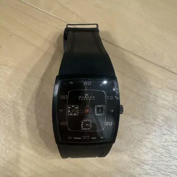 SKAGEN 시계
