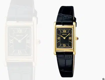 세이코 나노 유니버스 솔라 손목시계 SEIKO STPR066