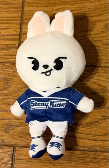 straykids skzoo 백참 리노 팝업 2024
