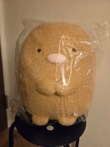 새상품 스미코구라시 봉제 인형 돈카츠 BIG 대