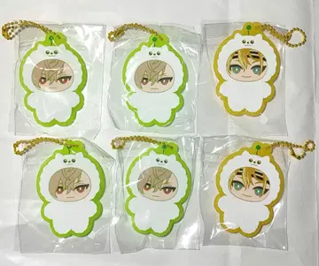 에이트리 시오 아쿠타 러버 마스