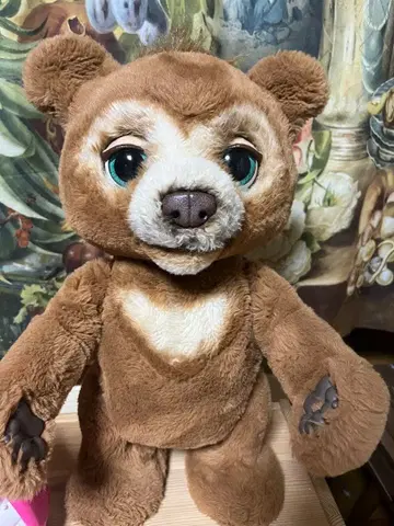 퍼리얼 아기곰 카비