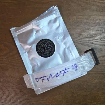 RIP SLYME 블레스라이트 화이트